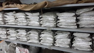 Packing-Dept