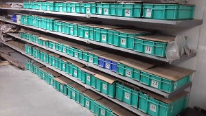 Store-Dept